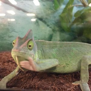 Meet your Posher, Marissa